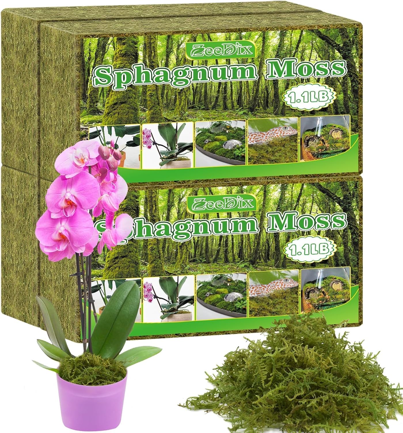 ZeeDix 4-Pack Premium Sphagnum Moss - 4.4 lb Natural Orchid Moss Plant Growing Medium for Terrariums, Orchids, Carnivorous, Succulents & Reptile Habitat Substrate