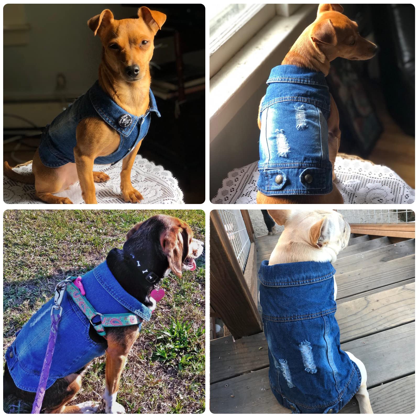 dog jean jacket amazon