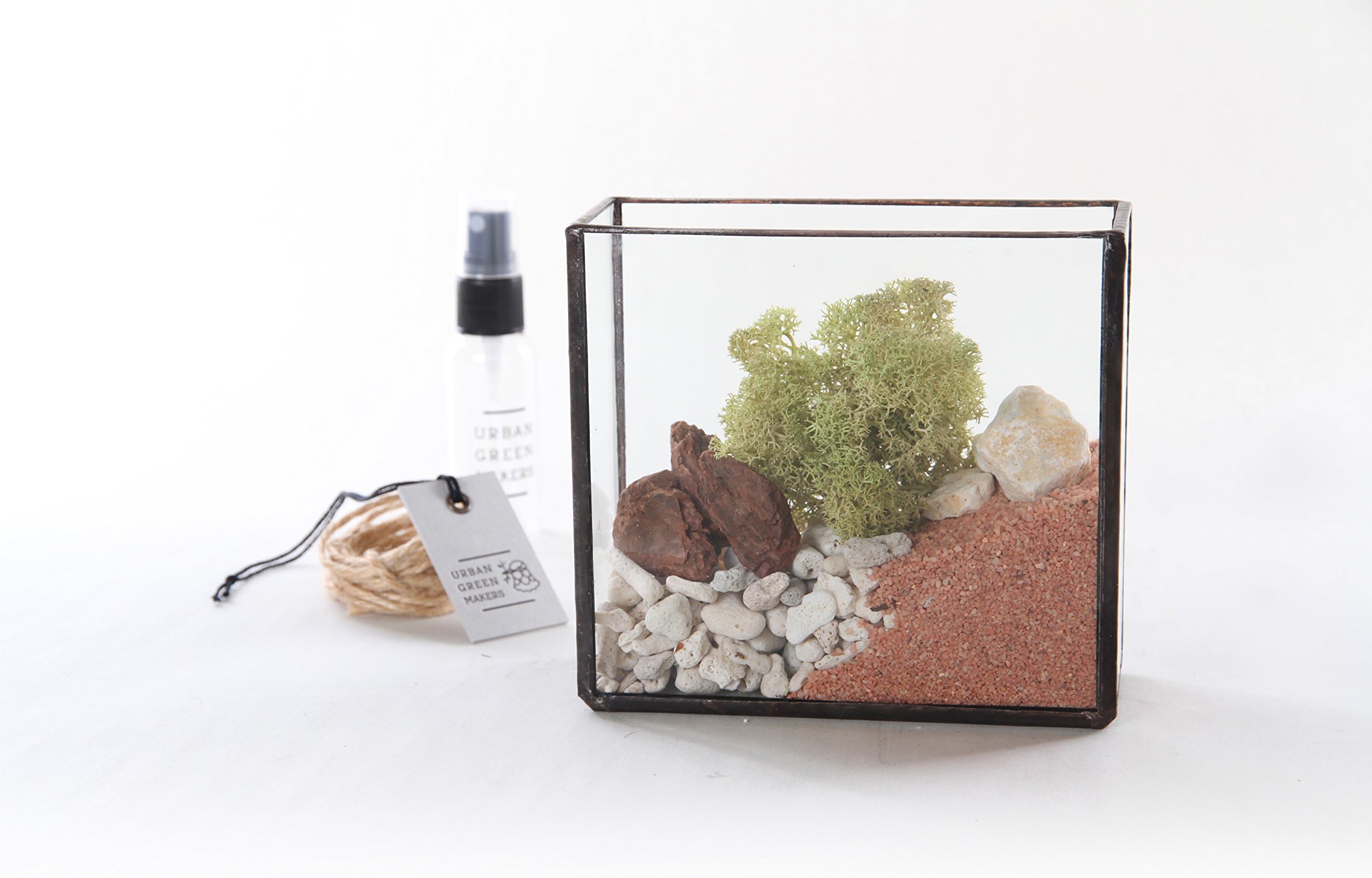 Glass Brass Box Terrarium DIY Kit - Includes Reindeer Moss & Other Decorative Supplies - Great for Air Plants - Unique & Customizable (Kit 4)