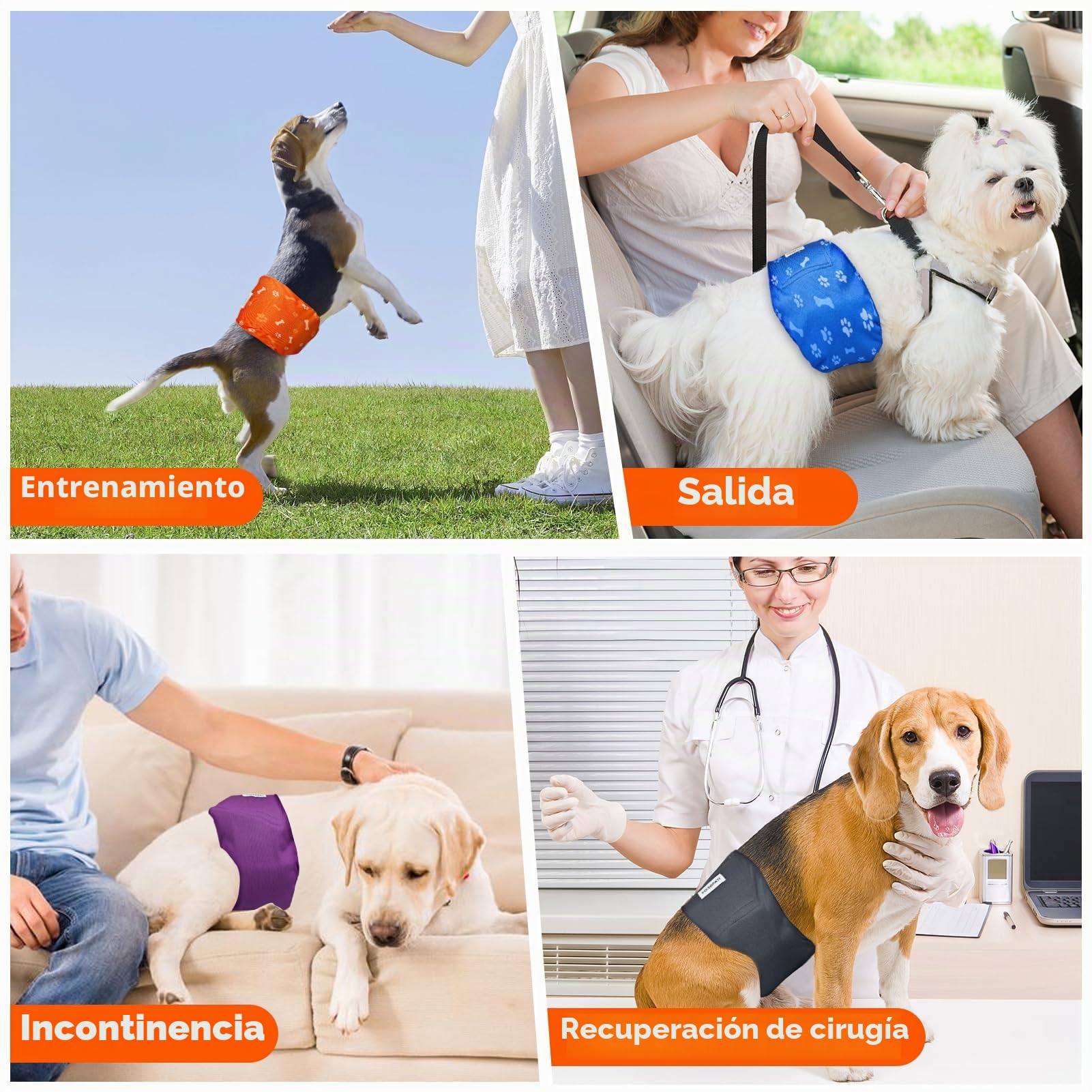 Pañales Lavables para Perros machos Paquete de 5 Reutilizables(M) | Fajas Abdominales Premium para Perros machos, envolturas Lavables de Alta absorción para Perros con incontinencia