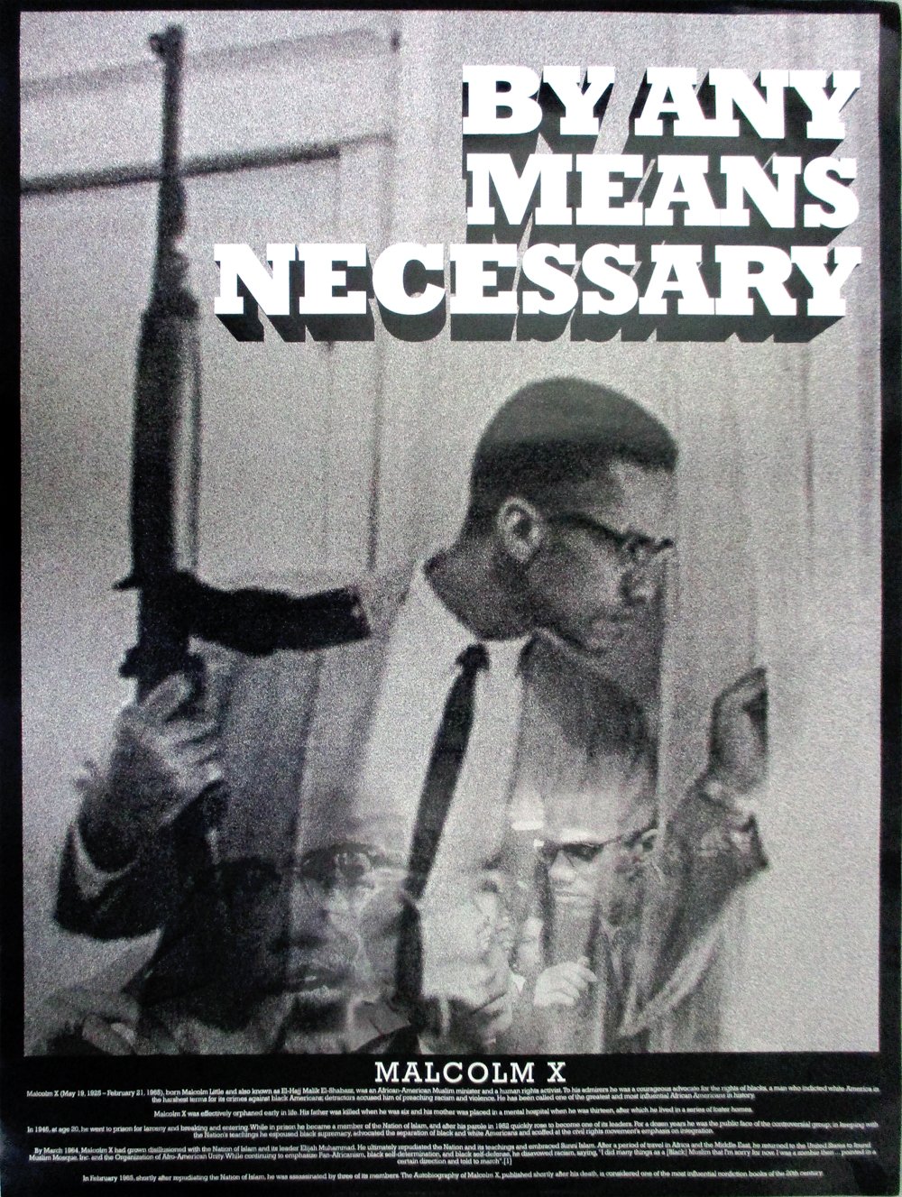 Tri-Seven Entertainment Malcolm X Poster by Any Means Necessary with Bio Print African American Black History, 18" x 24"