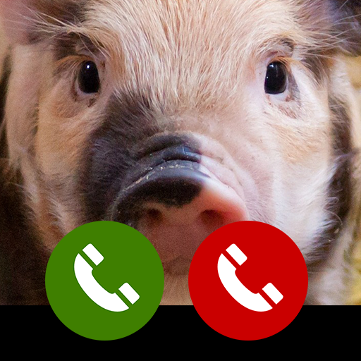Fake call from Funny PigAmazon.inAppstore for Android