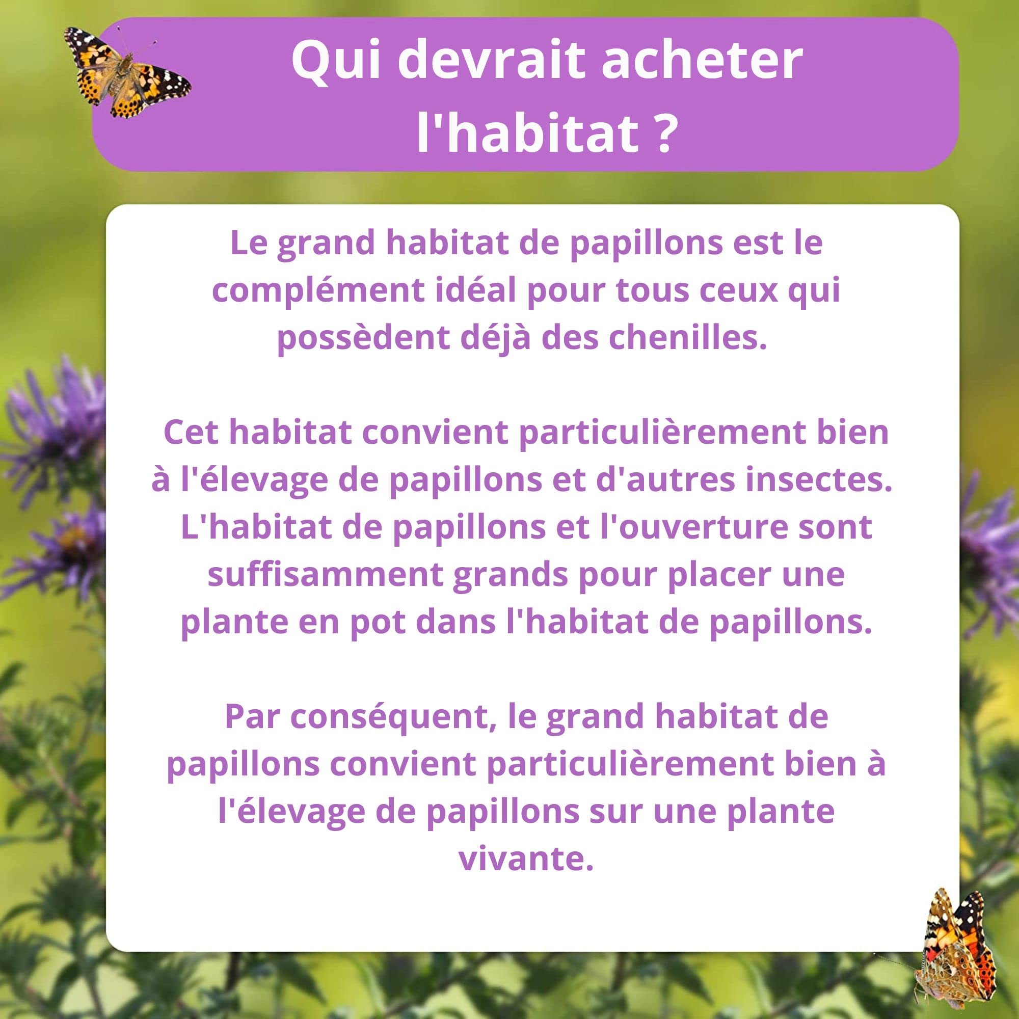 Ensemble d'élevage de Papillons pour Enfants/Adultes | Élevage de Papillons avec [Garantie de réussite] | Papillons indigènes | Élevage de chenilles à Domicile à partir de 3 Ans