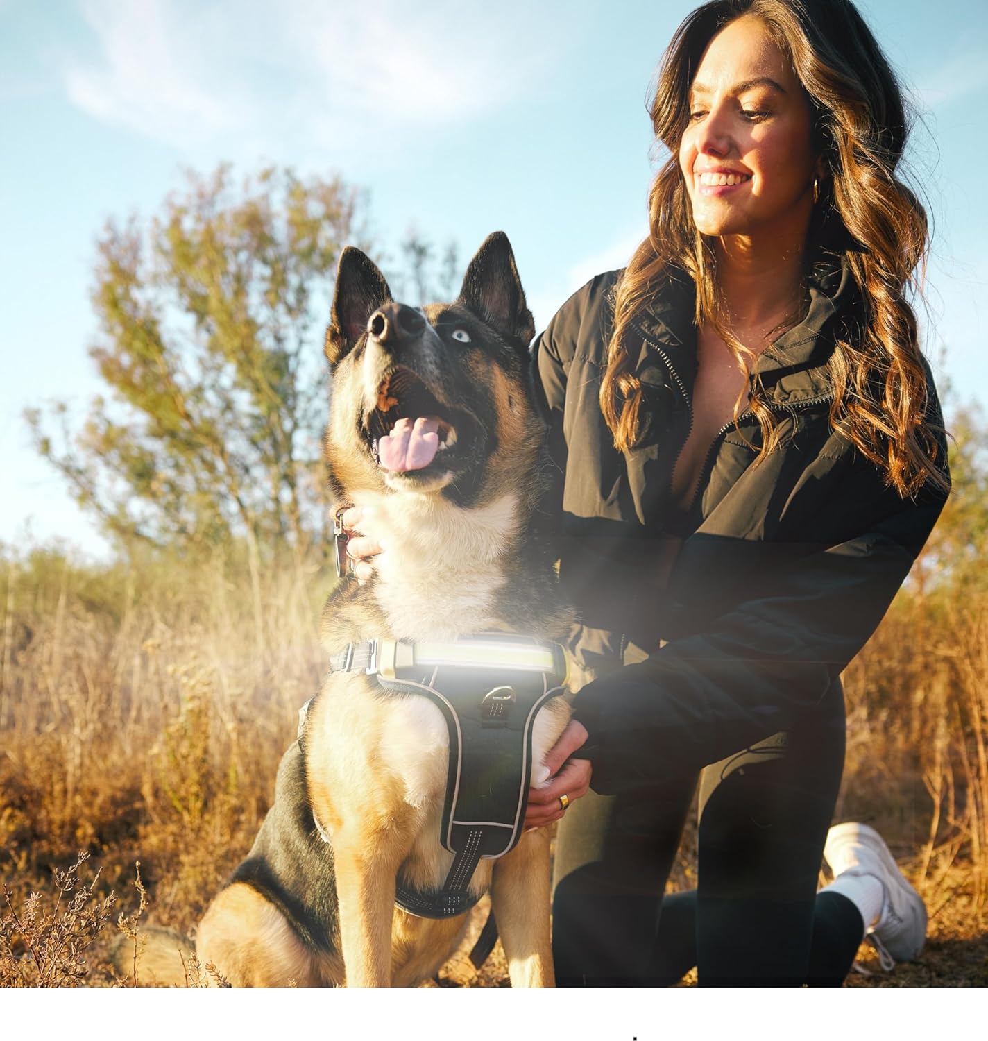 Lumi One LED Dog Harness for Night Visibility and Safety, Patent Pending – High-Visibility Light-Up Dog Vest with 1000 Lumen LED, Rechargeable Battery, Adjustable Fit, Reflective Trim (Black, Large)