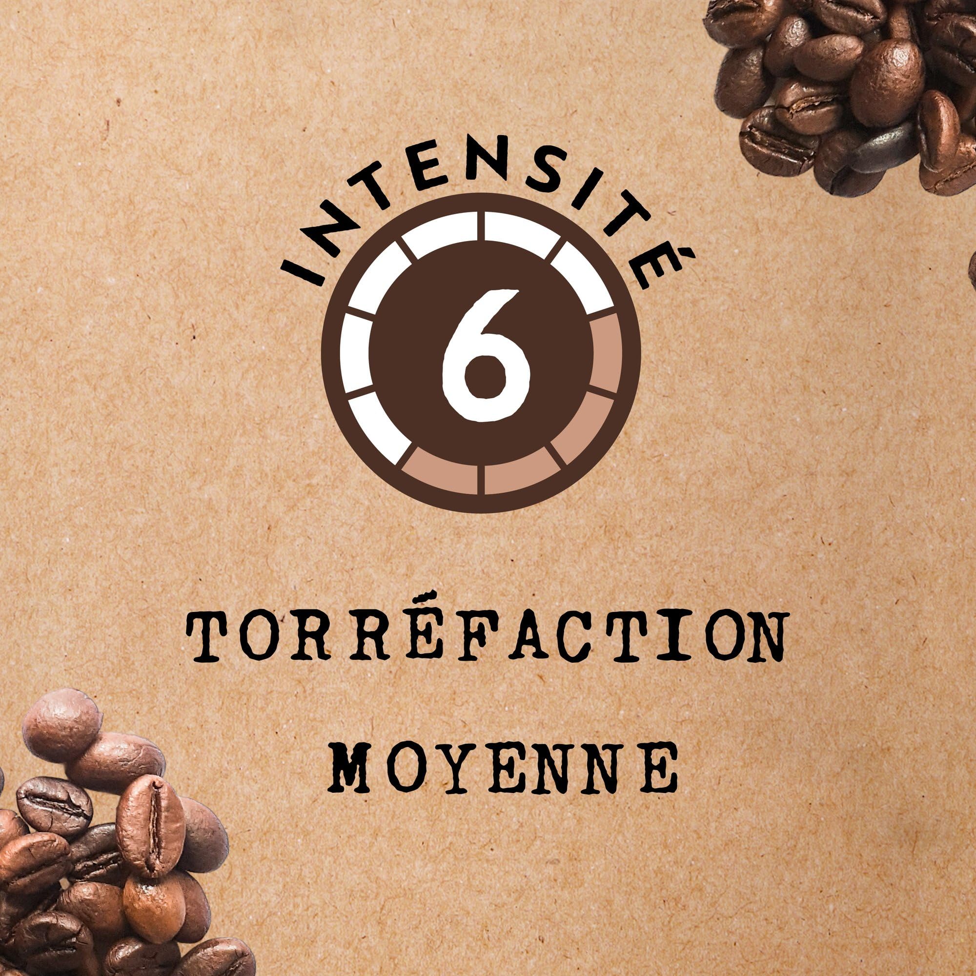 Cafés Méo - Dosettes Café Gastronomique Pur Arabica - 432 Capsules - Compatible avec Senseo - Intensité 6/10 - Arômes Authentiques, Doux et Parfumé - Lot de 12x36