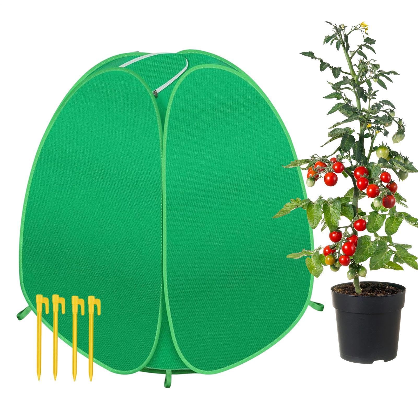 Tela antiheladas para plantas de exterior y frutales en patios fríos