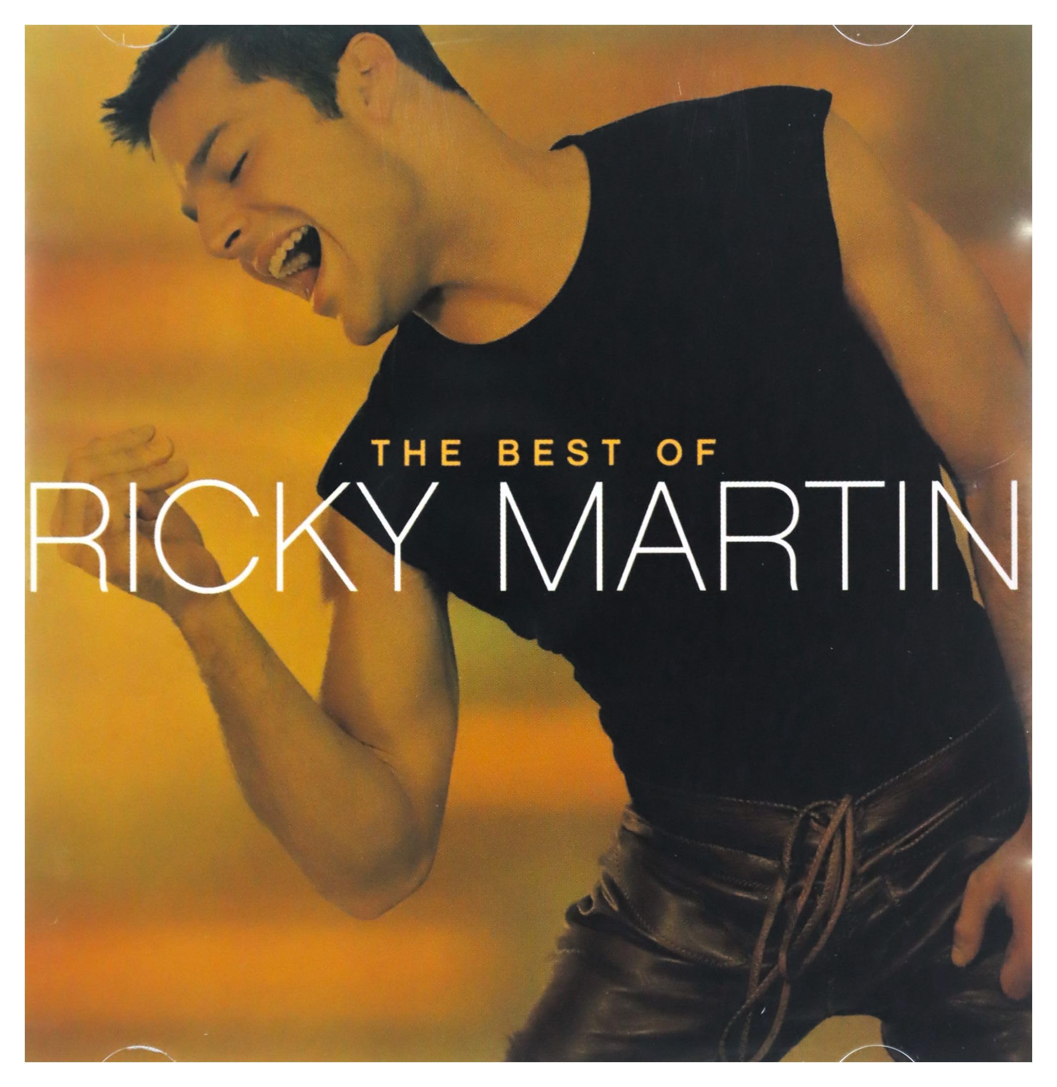 The Best Of Ricky Martin