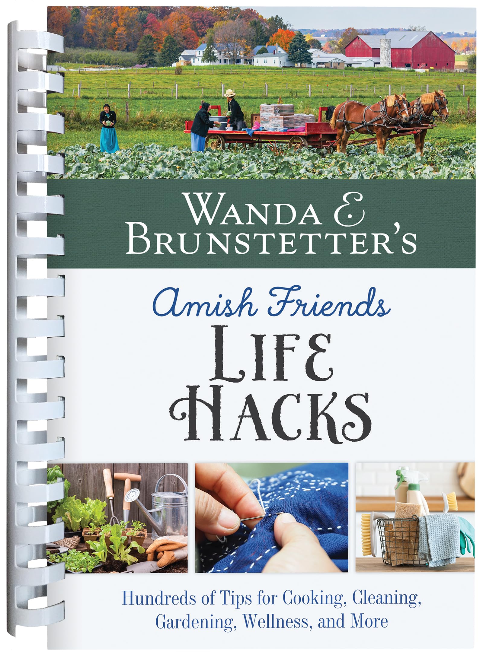 Wanda E. Brunstetter's Amish Friends Life Hacks: Hundreds of Tips for Cooking, Cleaning, Gardening, Wellness, and More