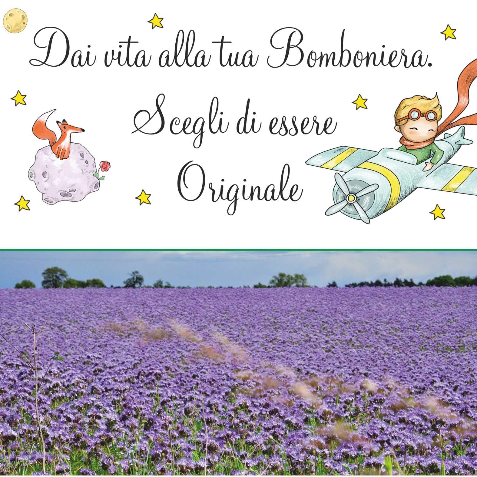 Generico 10 Bomboniere fioritura Piccolo Principe. Bomboniera cartoncino Piccolo Principe con Seme a Forma di Stella