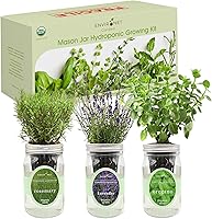 Vista 2 de Kit de cultivo de hierbas hidropónicas, kit de inicio de jardín de hierbas con riego automático en tarro de masón para interiores, jardín de hierbas