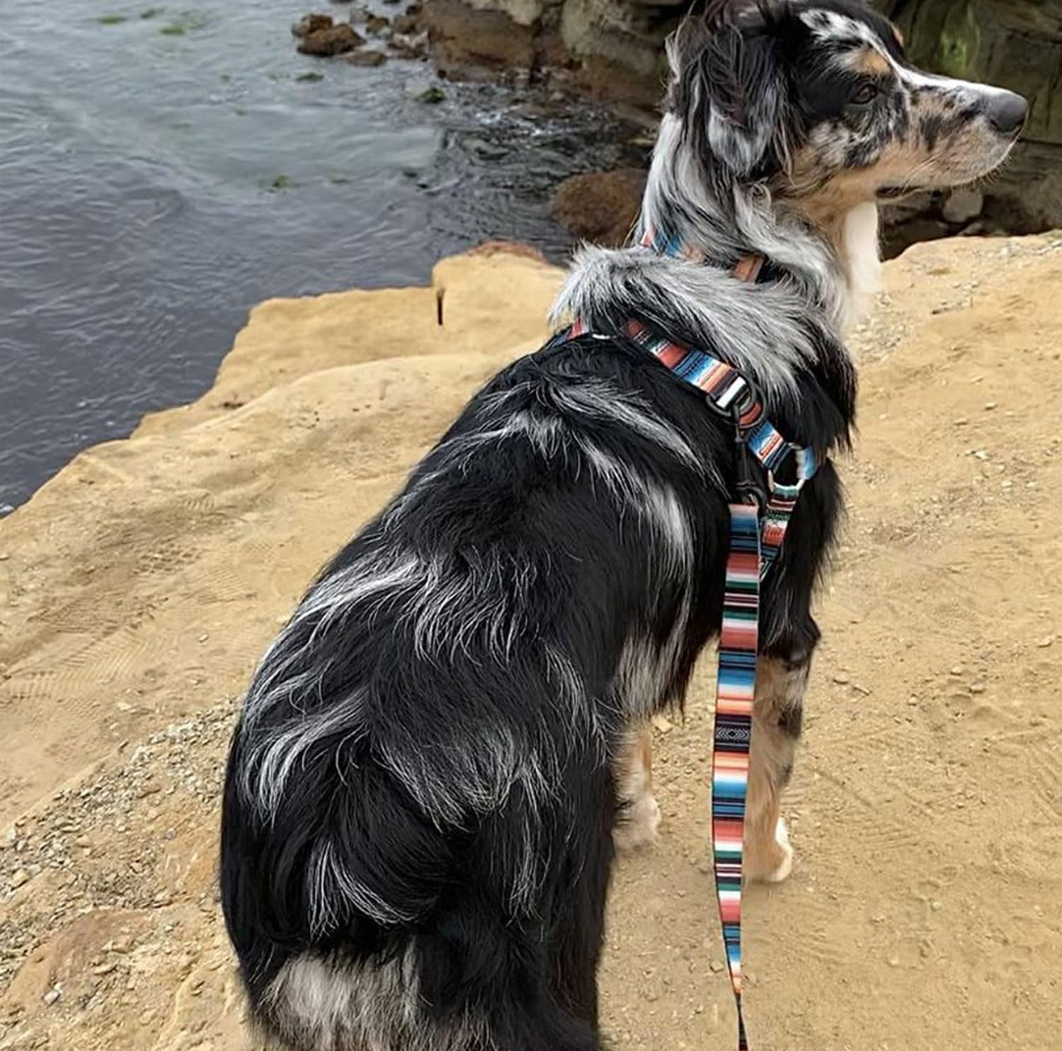 ウルフギャングユーティリティベスト ウルフギャングユーティリティベスト