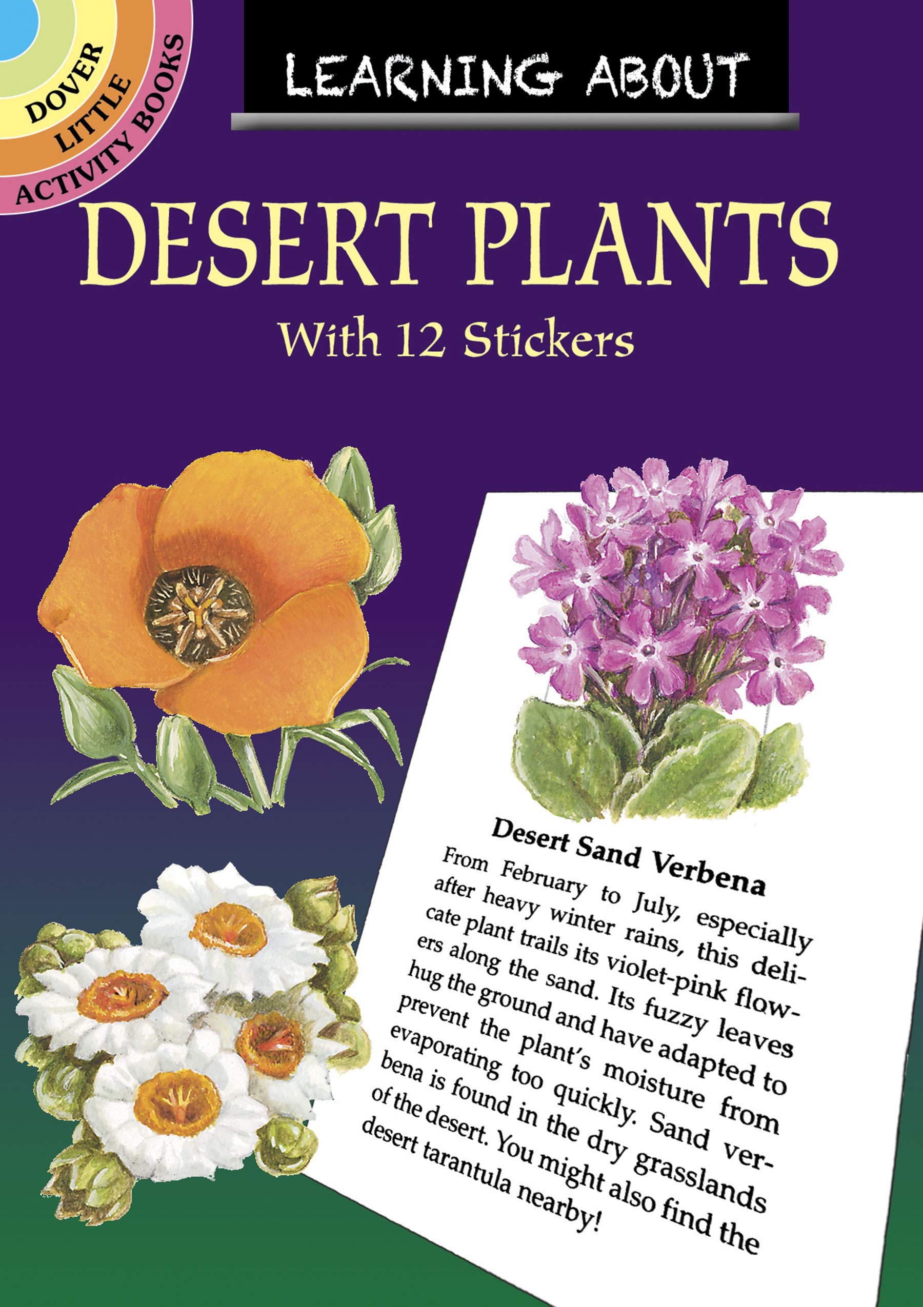 Learning About Desert Plants (Little Activity Books)