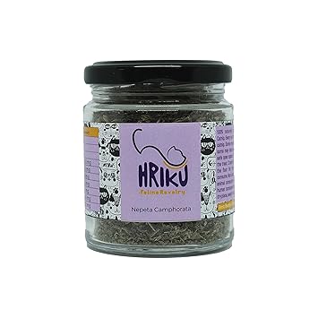 HRIKU High Altitude Himalayan Dry Catnip HERB 25 gm (Nepeta Camphorata), Green
