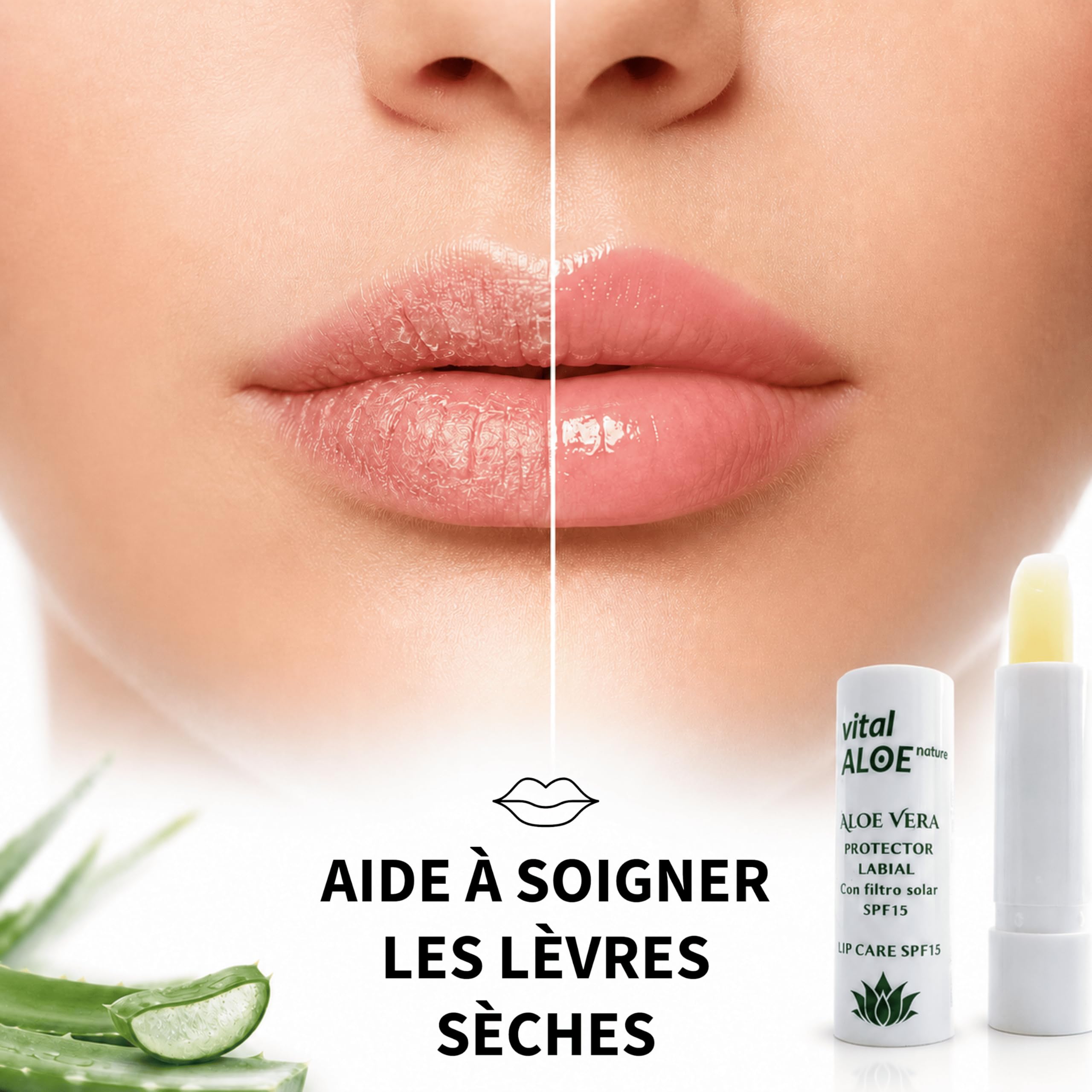 Baume à Lèvres Aloe Vera SPF 15 | 5 unités | Stick Lèvres Hydratant avec Filtre Solaire | Soin Quotidien pour Lèvres Sèches | Texture Douce Non Collante | Idéal Été et Hiver