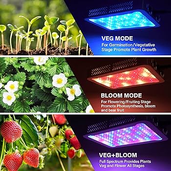 み*た様 LEDライト　ＧＥＸＦＬＵＢＡＬＰＬＡＮＴＮＡＮＯ(プラントナノ)　L 41gMy5+dOvL._UF1000,1000_QL80_.jpg