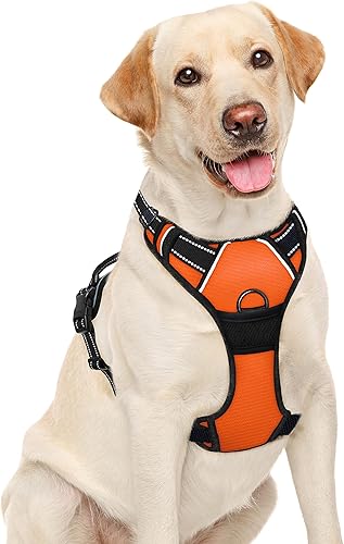 BARKBAY - Arnés para perro, sin tirones, reflectante grande con clip frontal y mango de control fácil para caminar, entrenamiento, correr (naranja,