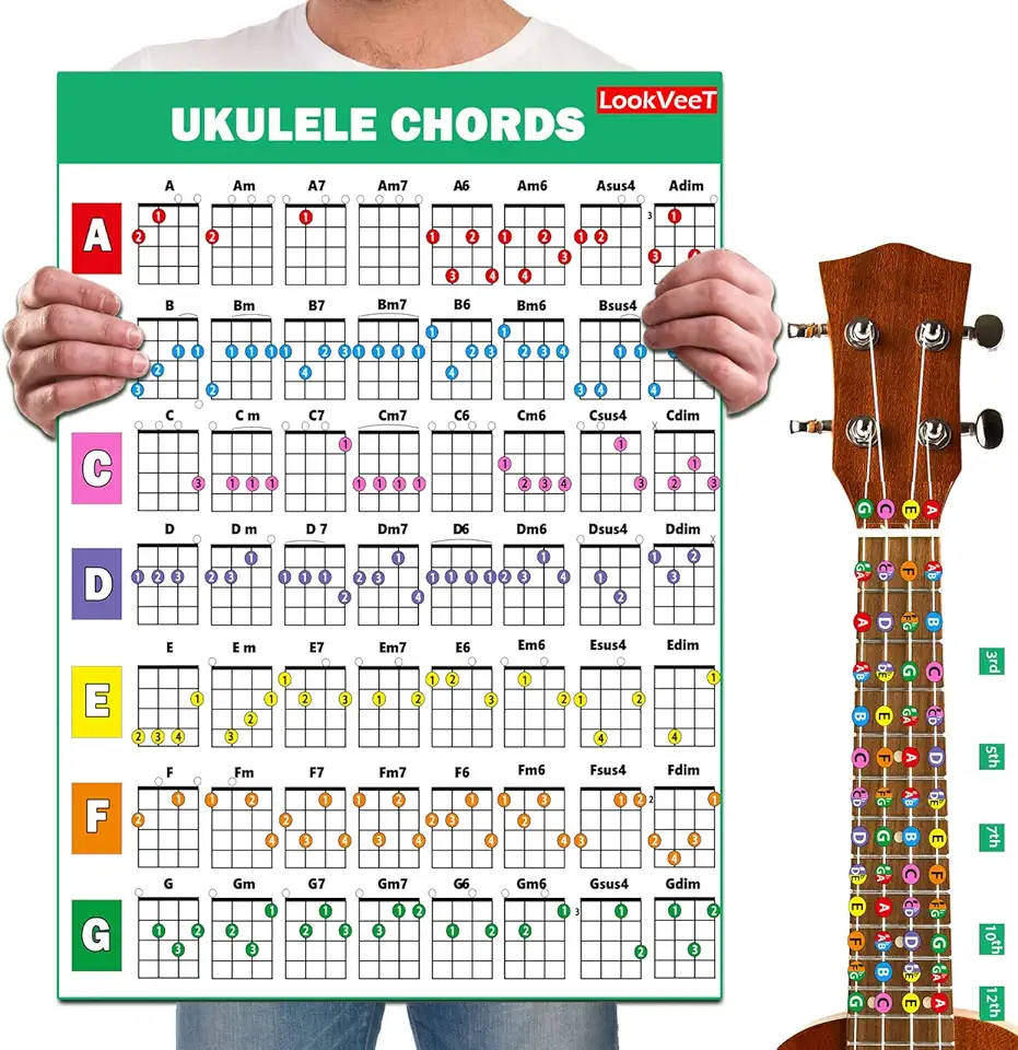 Pôster de quadro de acordes de ukulele para acordes laminados A4 iniciantes e portáteis