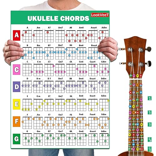 LookVeeT Ukulele Chord Chart Poster For Beginner And Portable A4 Laminated Chords