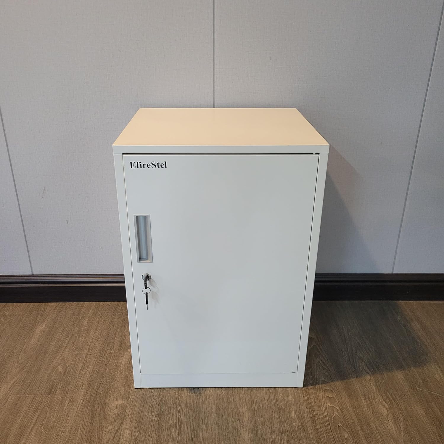 EfireStel Metal storage cabinets Lockable Metal Locker – Double-layer locker, secure and lockable storage cabinet