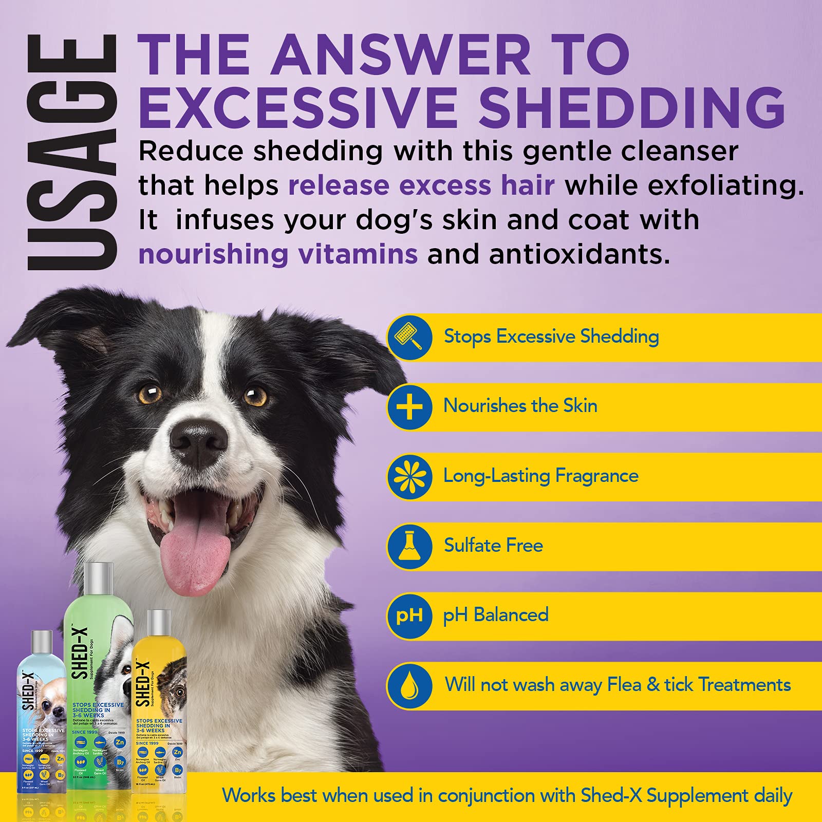 How Can I Stop My Dog From Shedding So Bad