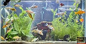 Review Image by azim azim