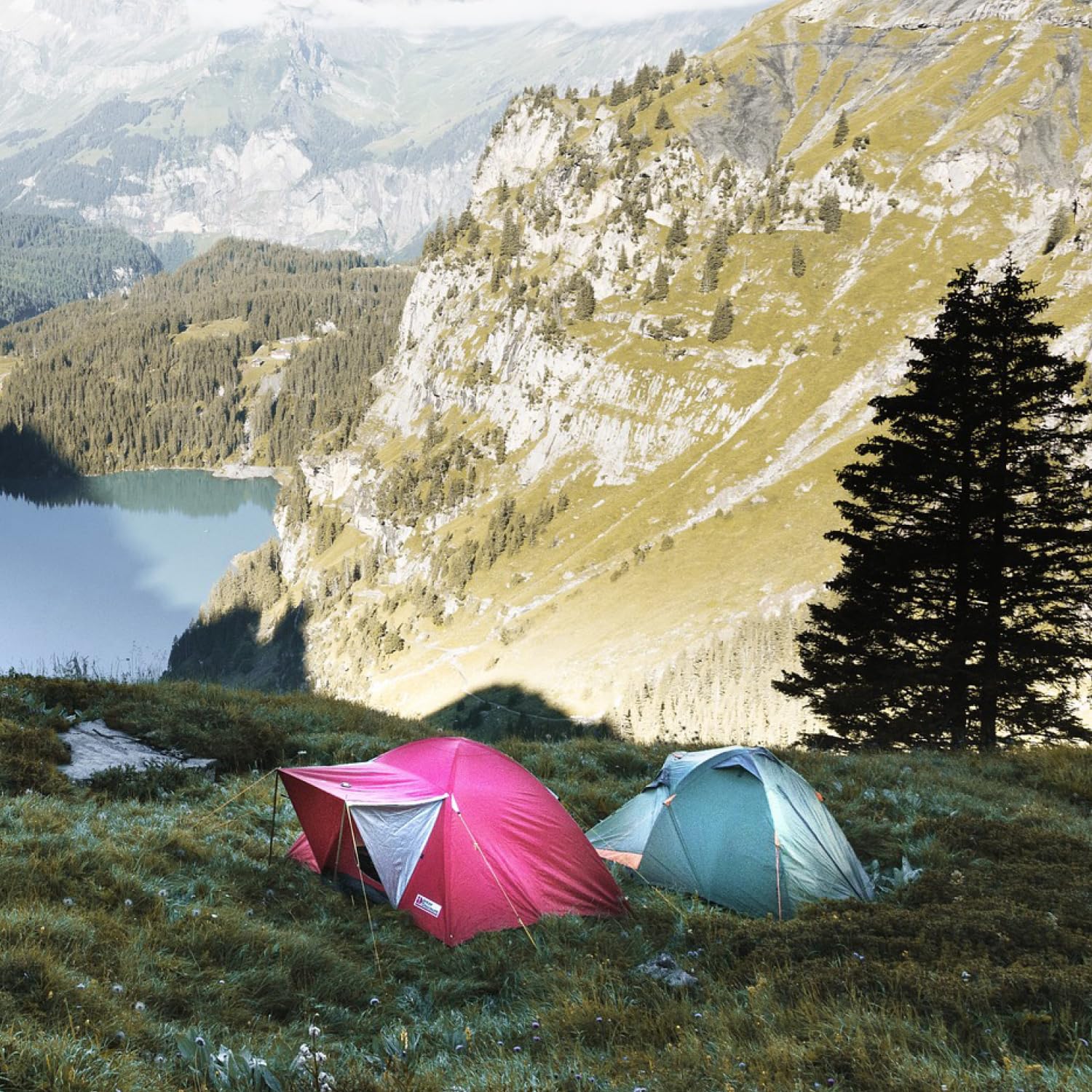 Picchetti Per Tenda Da Campeggio, Set Da 12, Pioli Ancoraggio Su Terreni Duri Acciaio Zincato 20 Cm Nero Relaxdays 92563035