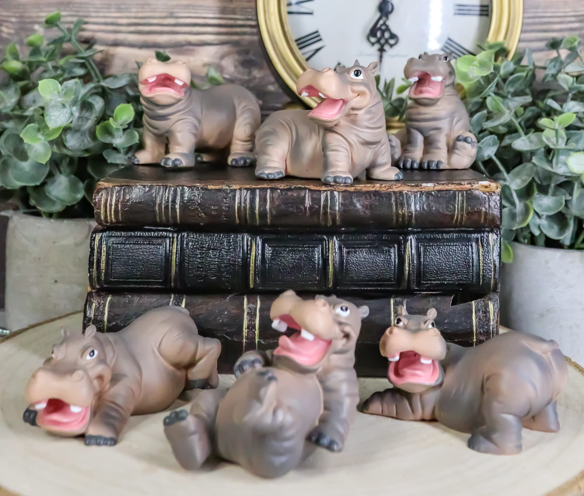 Amazon.com: Ebros Whimsical Baby Hippo Set of 6 Hippopotamus