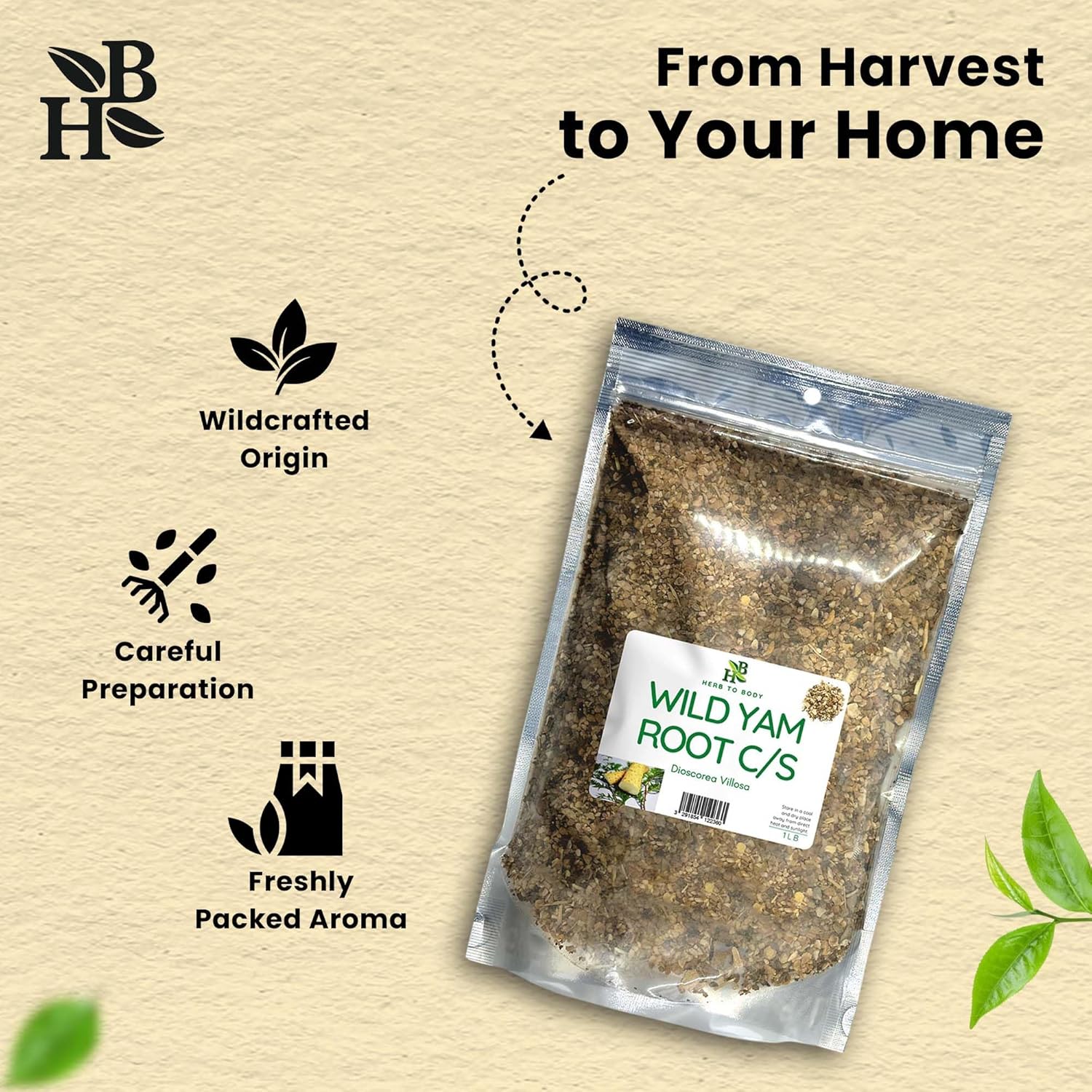 Herb To Body Wild Yam Root Cut & Sifted – 4 oz, Wildcrafted Dioscorea Villosa for Herbal Tea, Relaxation Support, and Traditional Uses (Pack of 2)