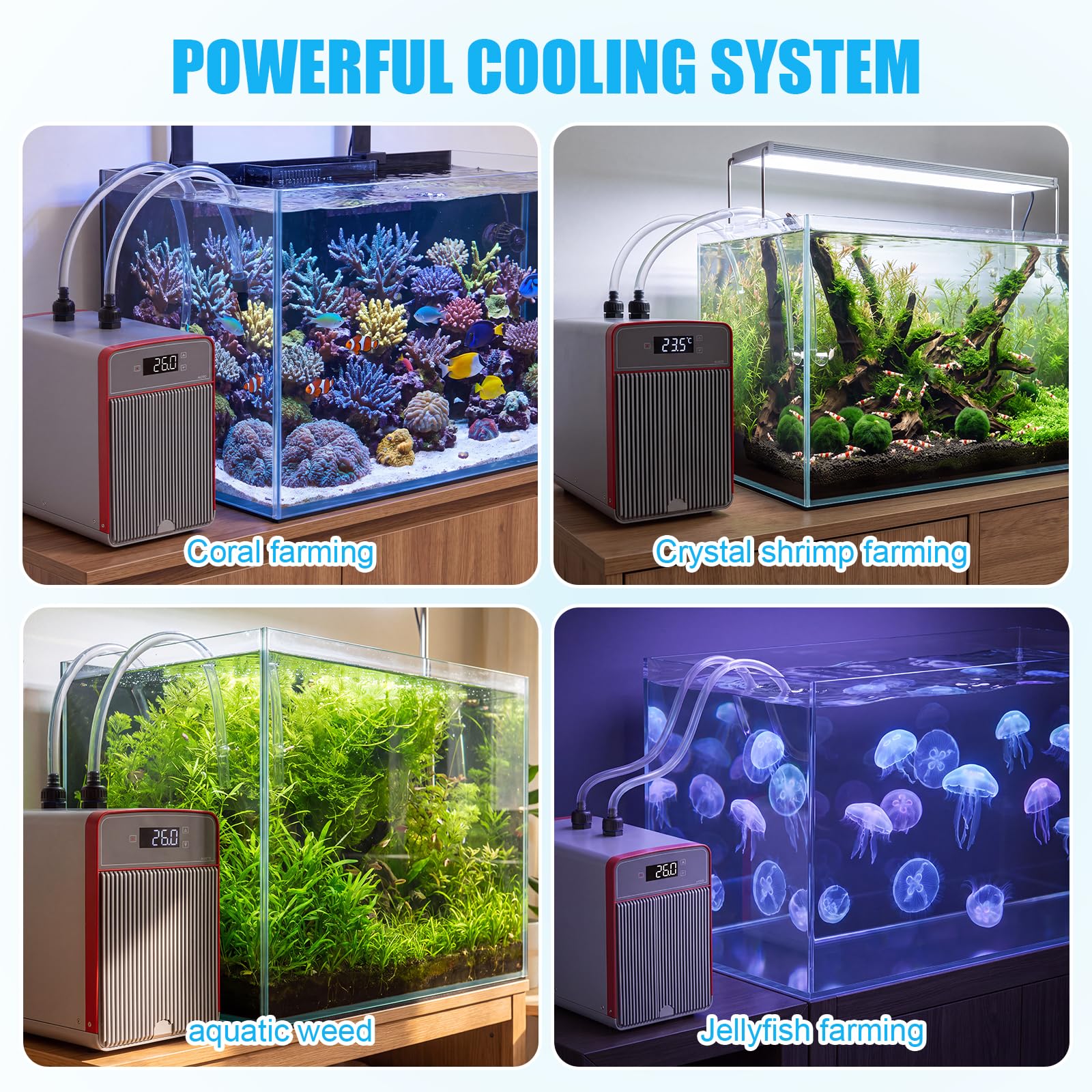Refrigeratore Acquario 160L, Refrigeratore per Acquario D'acqua Serbatoio di Pesce Raffreddatore Acquario Silenzioso Raffreddamento Acquario con Compressore per Acquari, Meduse, Piante D'acqua