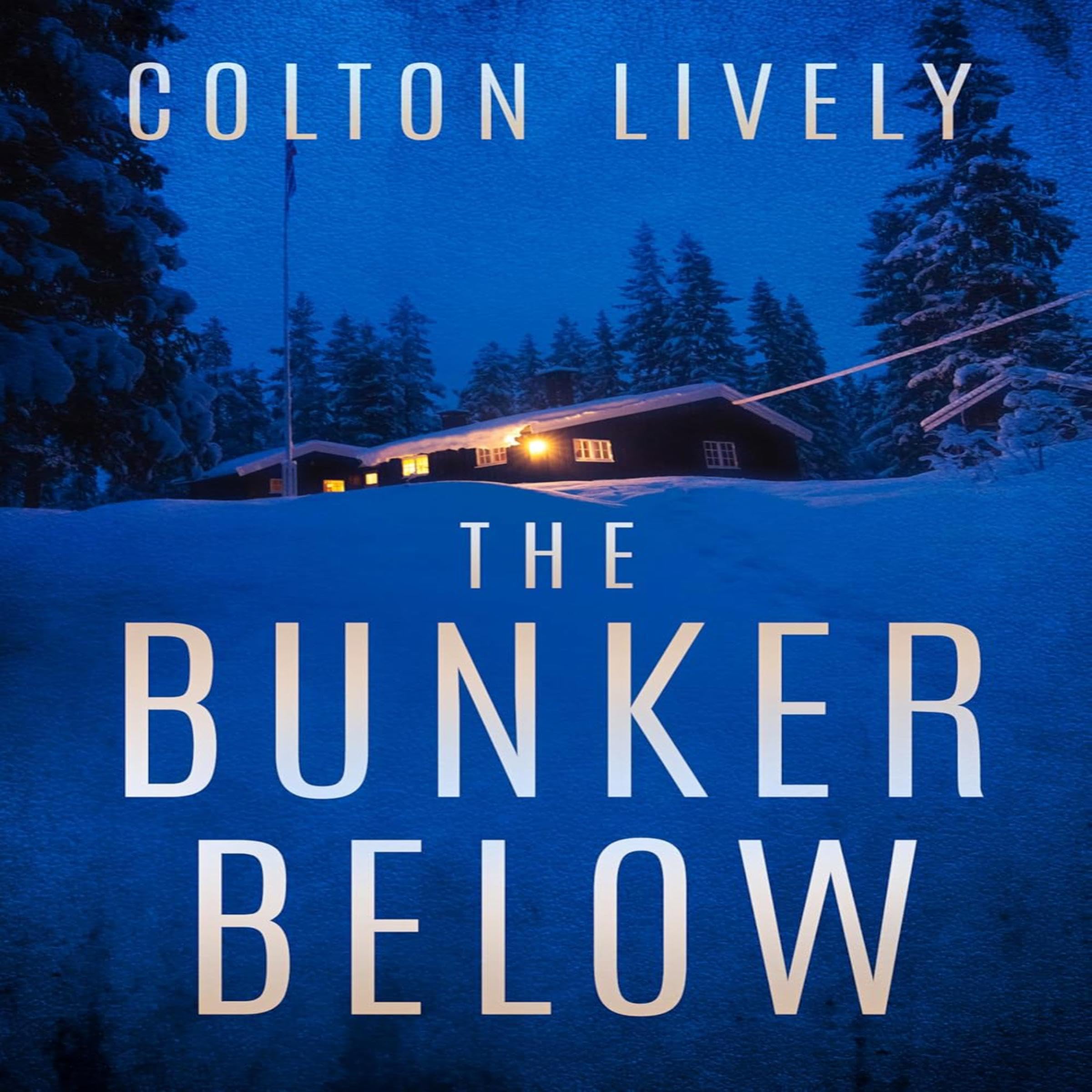 Cover art for The Bunker Below