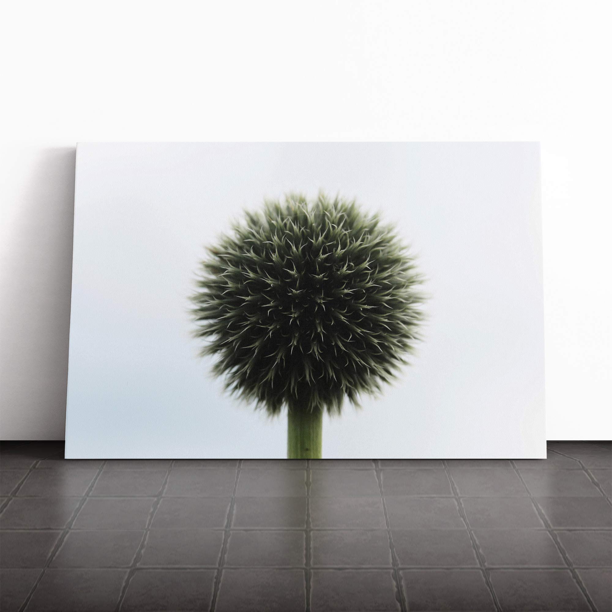 Flower Globe Thistle (3) Canvas Print | Gallery Wrapped 30mm Frame Wall Art | 30x20 inches | Ready to Hang | Modern Floral Picture | Living Room Bedroom Lounge Office