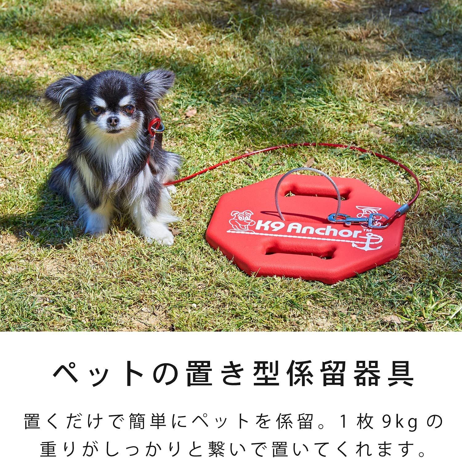 Amazon.co.jp: 【OFT】 K9アンカー本体＋90cmワイヤー 係留 おもり 9kg