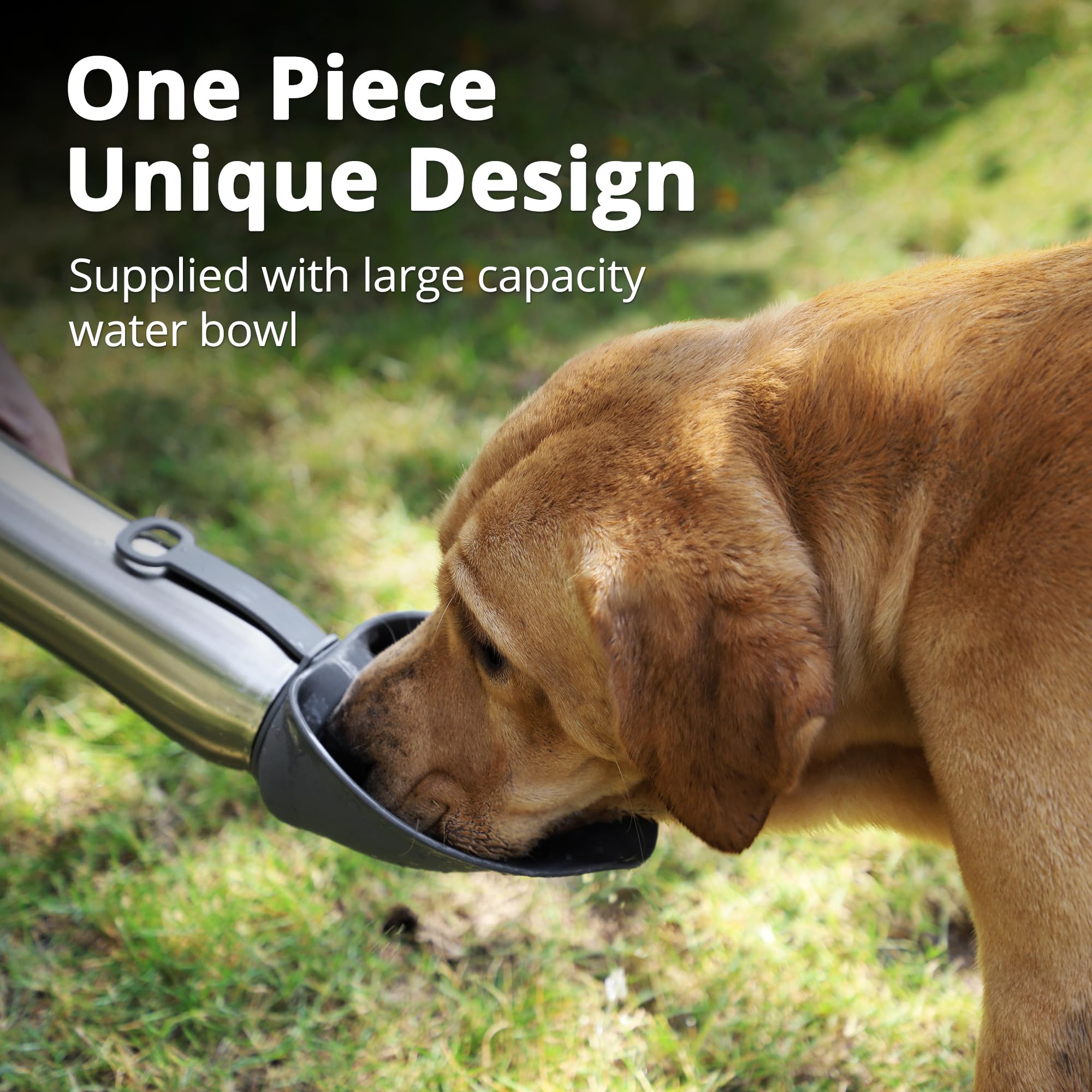 Petace Bottiglia per Cani da Viaggio, 750 ml Bottiglia Cane Isolato in Acciaio Inox, Borraccia Portatile per Cani Portatile, Doppia Parete Isolata Sottovuota