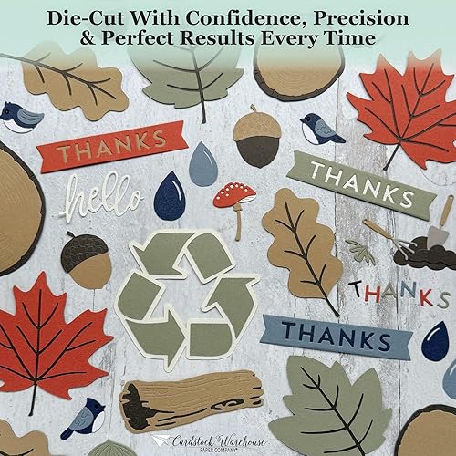 Miniatura 7 de Cardstock Warehouse Materica - Papel de cartulina mate de primera calidad de 12 x 12 pulgadas, 92 libras, 250 GSM, 15 puntos, 25 hojas