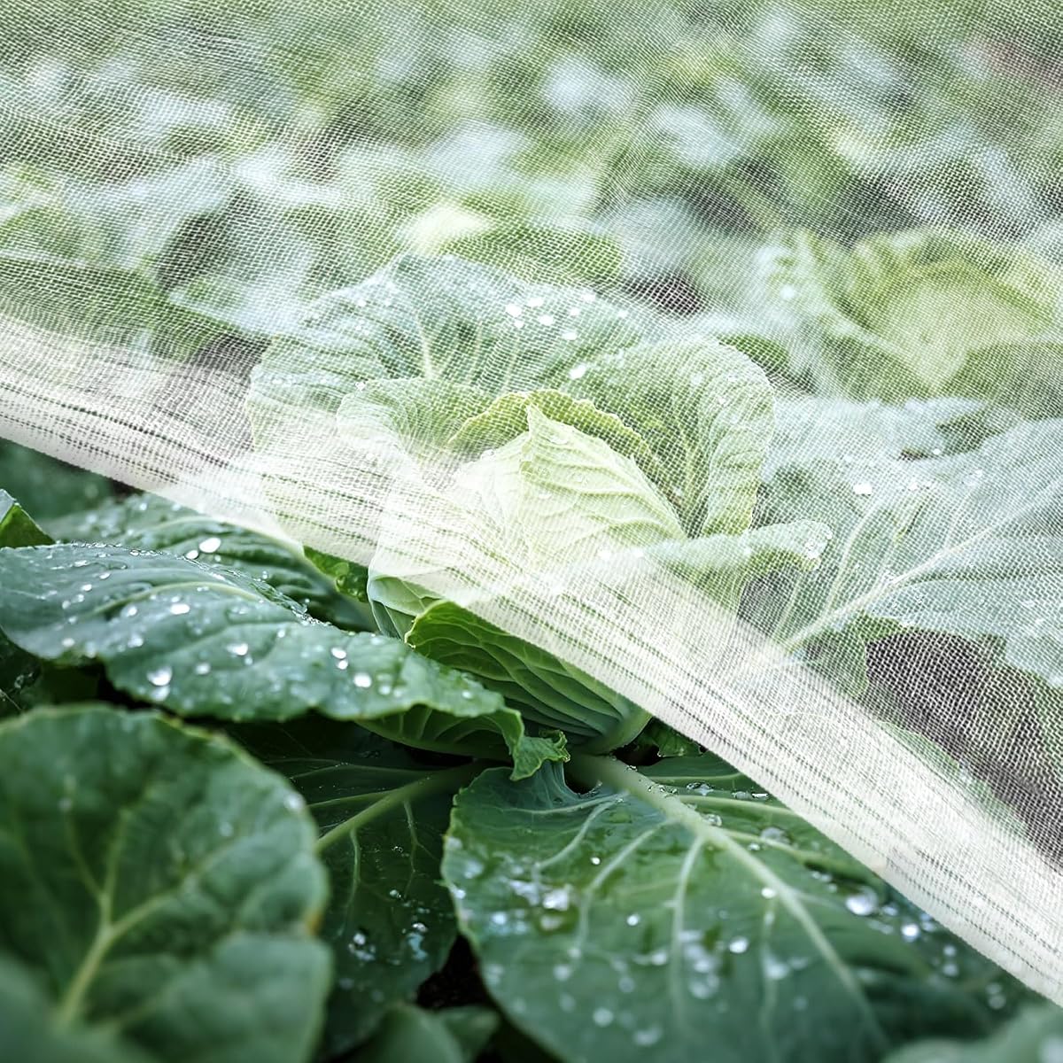 RAINFLOW Garden Insect Netting Pest Barrier - Mesh Netting for Raised Beds | Garden Plant Cover for Vegetables, Fruits and Flowers, Helps Protect Crops from Insects and Birds, 4 x 10 Ft