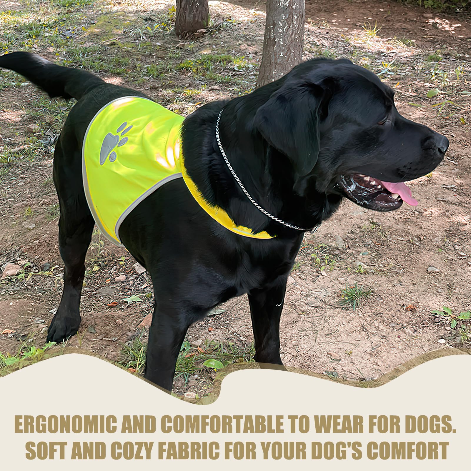Gilet de Sécurité Réfléchissant pour Chien, Veste Haute Visibilité avec Bandes Réfléchissantes, Confortable et Résistant, pour Promenades Nocturnes et Activités Extérieures, Taille M