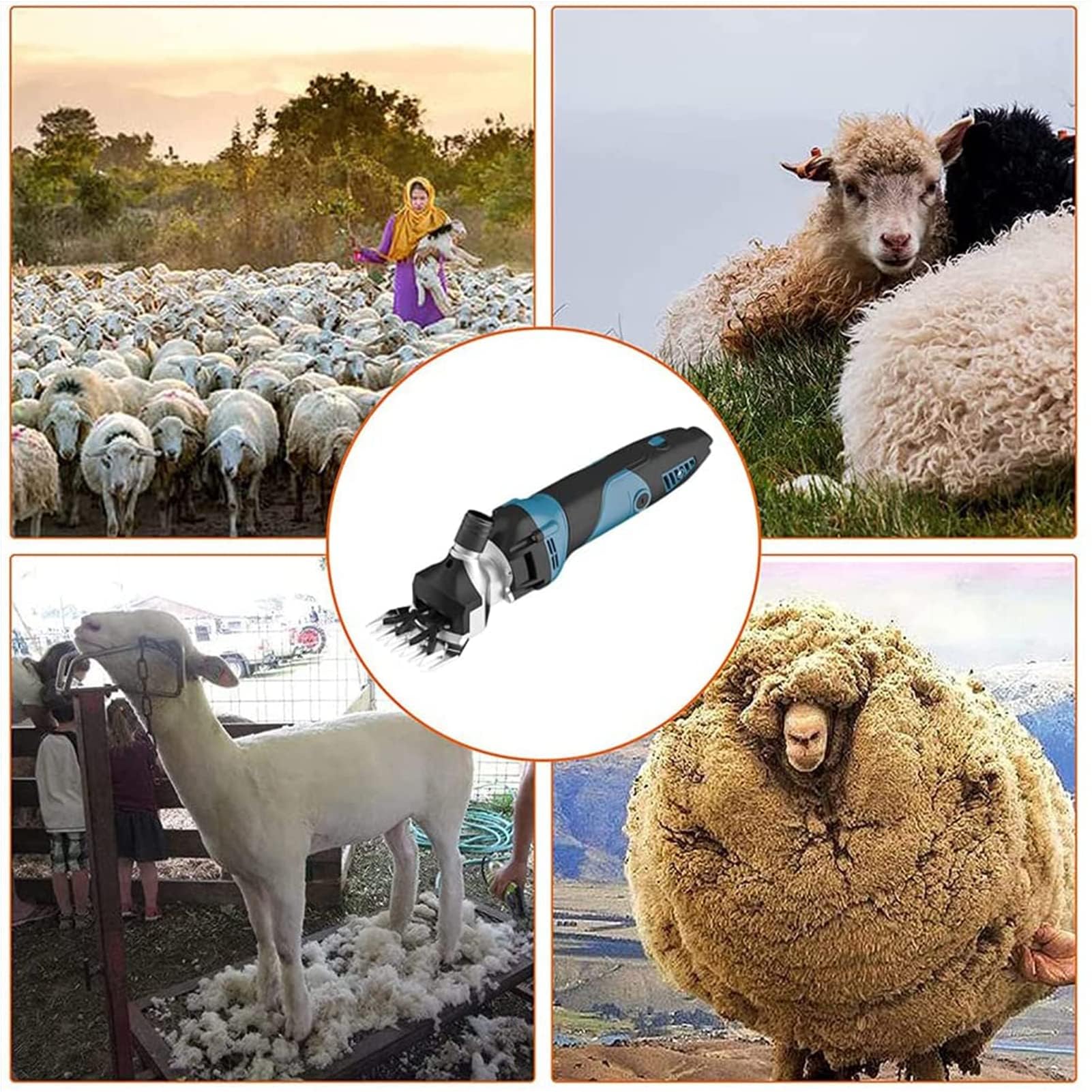 Tosatrice elettrica per Pecore, tosatrice Professionale da 850 W con 6 velocità di Regolazione, Kit per la toelettatura del Bestiame, per la rasatura della Lana di Pecore, capre e bovini