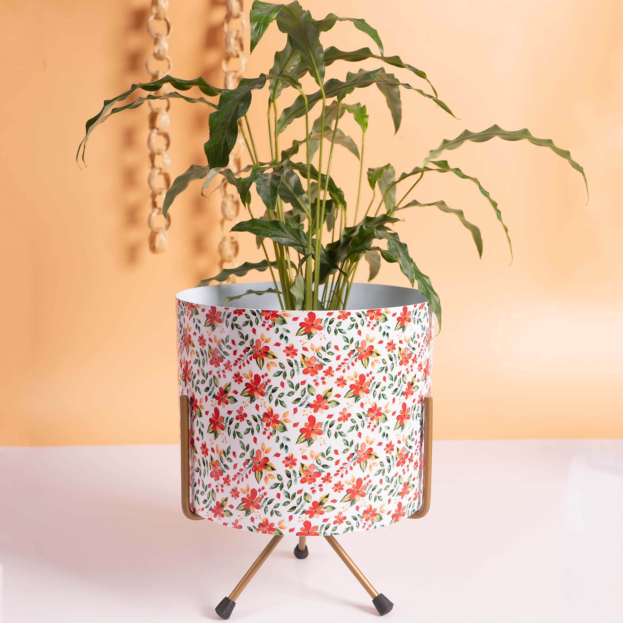 KYARI Maya Metal Pots for Indoor Plants with Drainage Hole (Best Flower Pots & Planters for Home Decor, Living Room, Kitchen, Bedroom, Table Top, Office, Gifting, Flower Floral) White (B09SLWBK84) Amazon Price History, Amazon Price Tracker