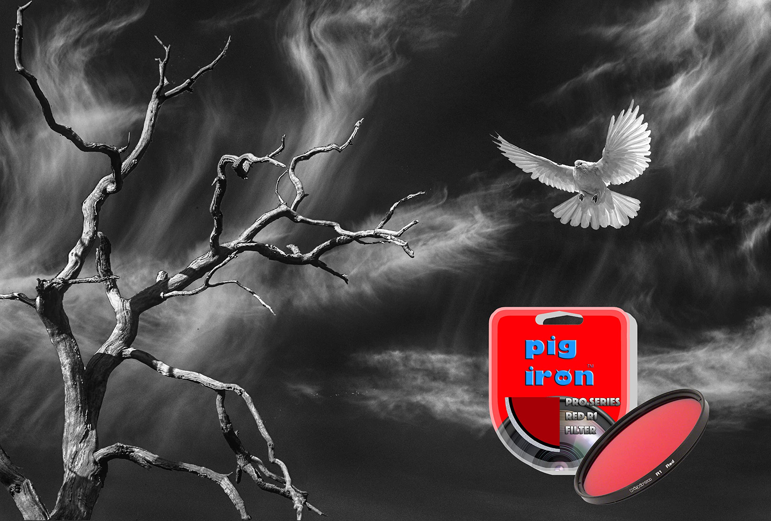 Pig Iron Red R1 Pro Filter Kontrastverstärker für Schwarz-Weiß-Fotografie Spezialeffektkameraobjektivfilter (37 mm)