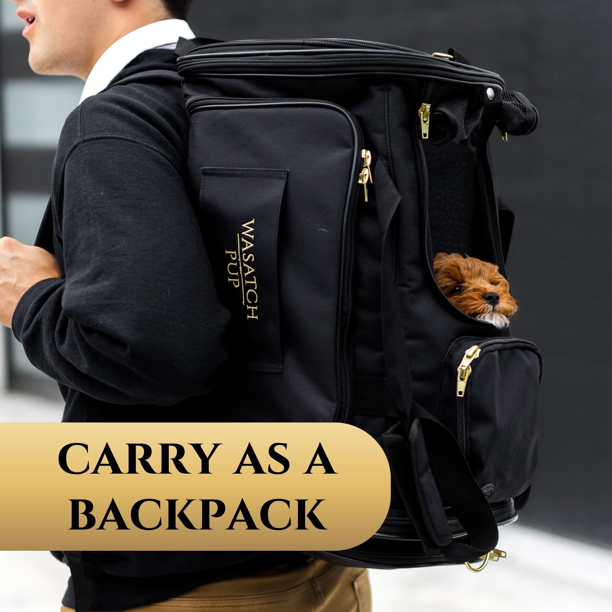 Pet Travel Carrier with Wheels - US Airline Compliant Stylish Pet Stroller Travel Bag for Small Dogs and Cats | Durable, Breathable & Expandable Design with Heavy Duty Wheels - Black - image 4