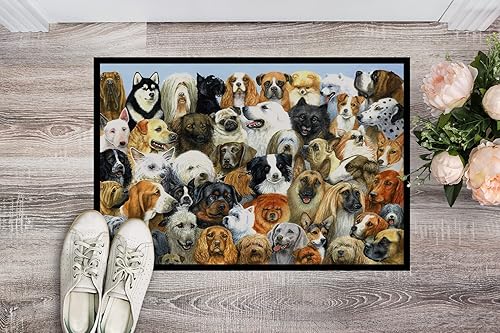 Miniatura 2 de Caroline's Treasures BDBA0441JMAT - Felpudo para puerta delantera, 24 x 36 pulgadas, para interiores y exteriores, para entrada, antideslizante,