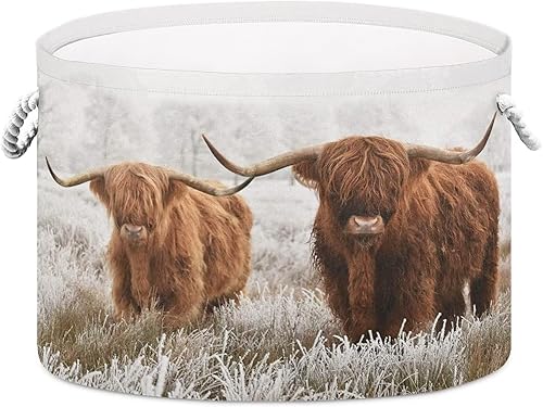 Cesta grande para decoración de vaca escocesa de las tierras altas para sala de estar 20 x 14 pulgadas impermeable cesta de lavandería para baño