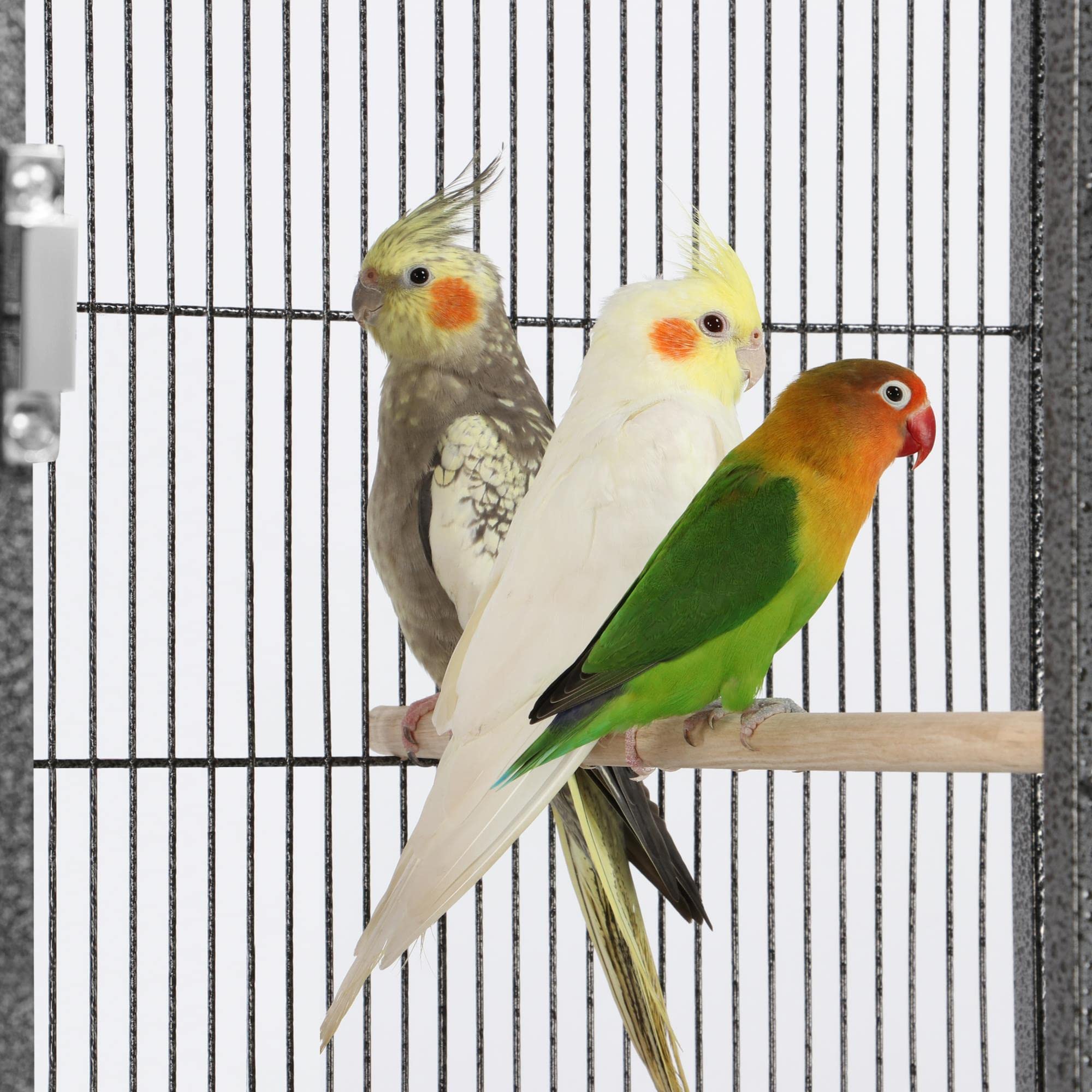 Yaheetech Cage Oiseau Volière Oiseaux Intérieur Exterieur pour Perruche Canari avec Accessoires complets 2 Portes en Métal 95,5 x 45,5 x 52,5cm Noir
