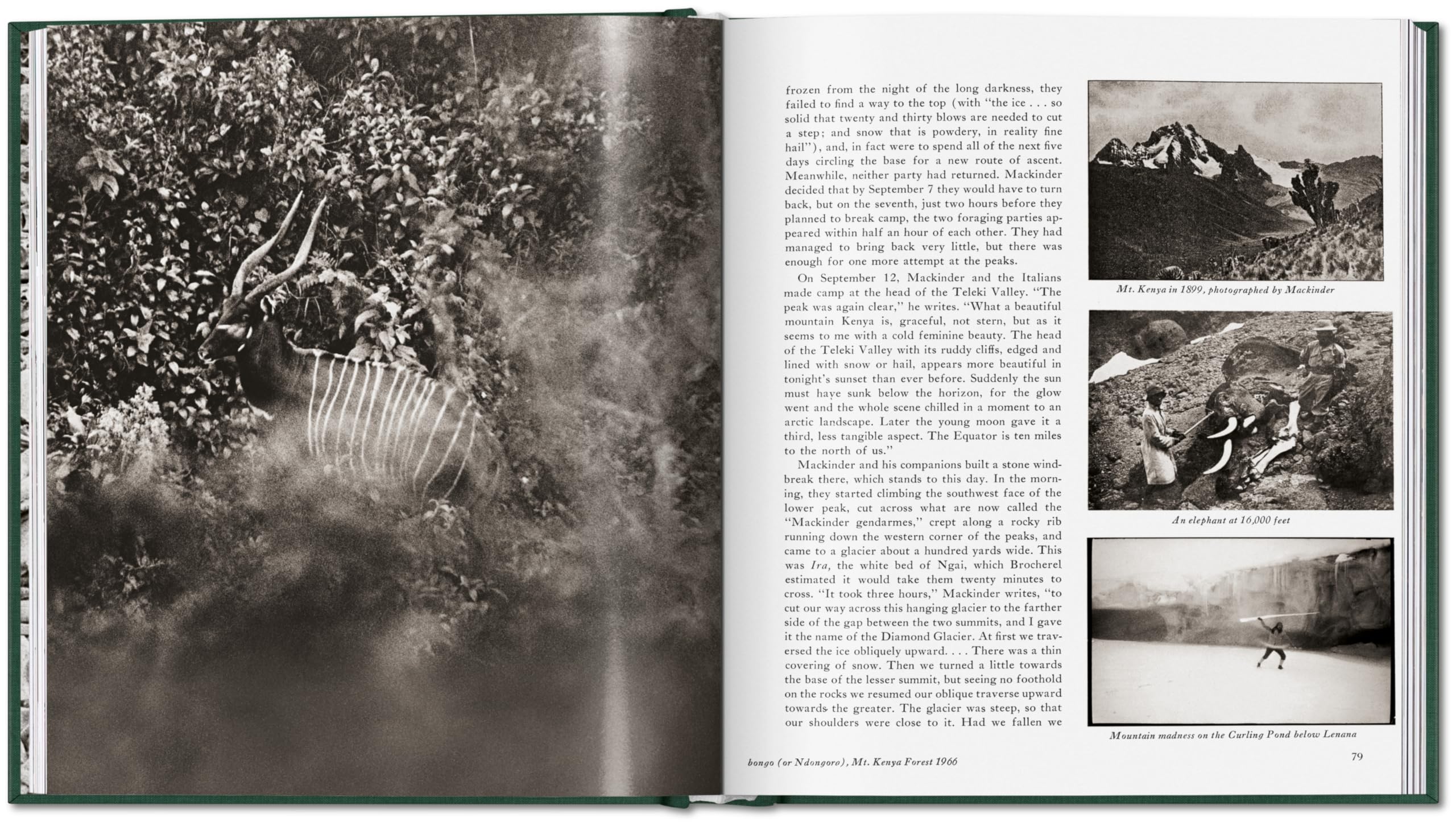 Peter Beard: The End of the Game