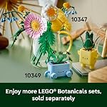 LEGO Botanicals plantes heureuses jouet de construction pour enfants, filles et garçons 9+ - Décor de salle de jeu pour bureau ou étagère - Cadeau pour anniversaires - Plante d'intérieur artificielle pour jeu et exposition - 10349