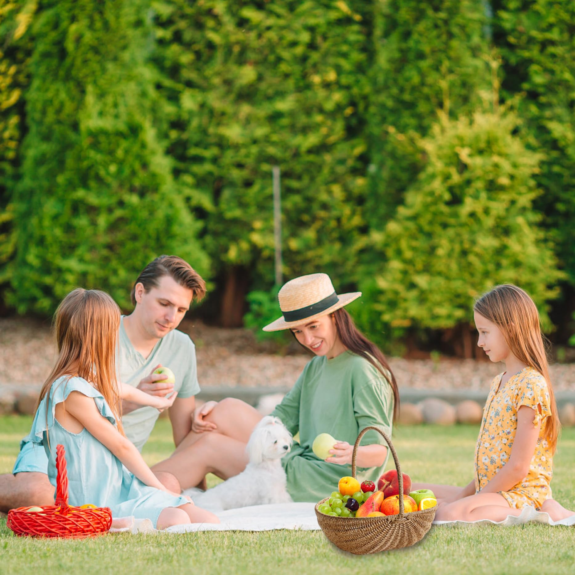 Cestino per la raccolta in vimini intrecciato con manico Organizzatore portatile per frutta e verdura da picnic