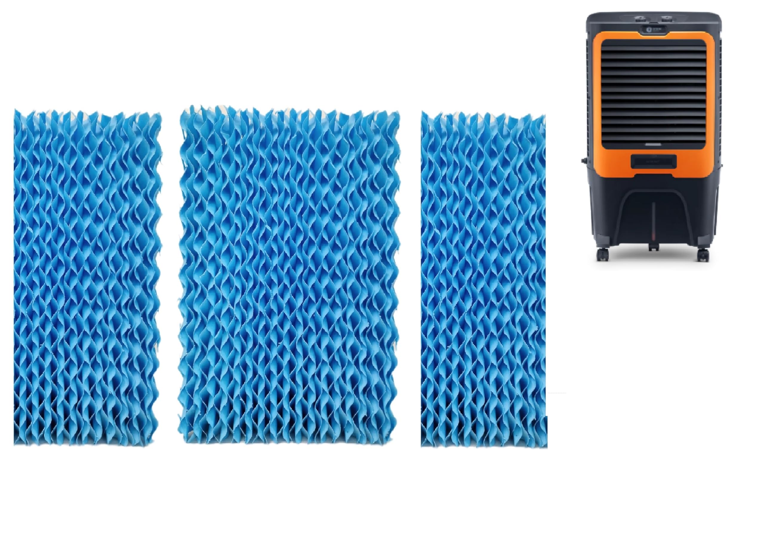 23.7x18.5 22.5x9.1 · Blue