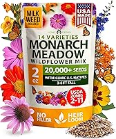 Vista 105 de HOME GROWN Semillas de eneldo sin OMG para plantar 1,014 ramos de semillas de eneldo y semillas de hierbas tradicionales para plantar al aire libre