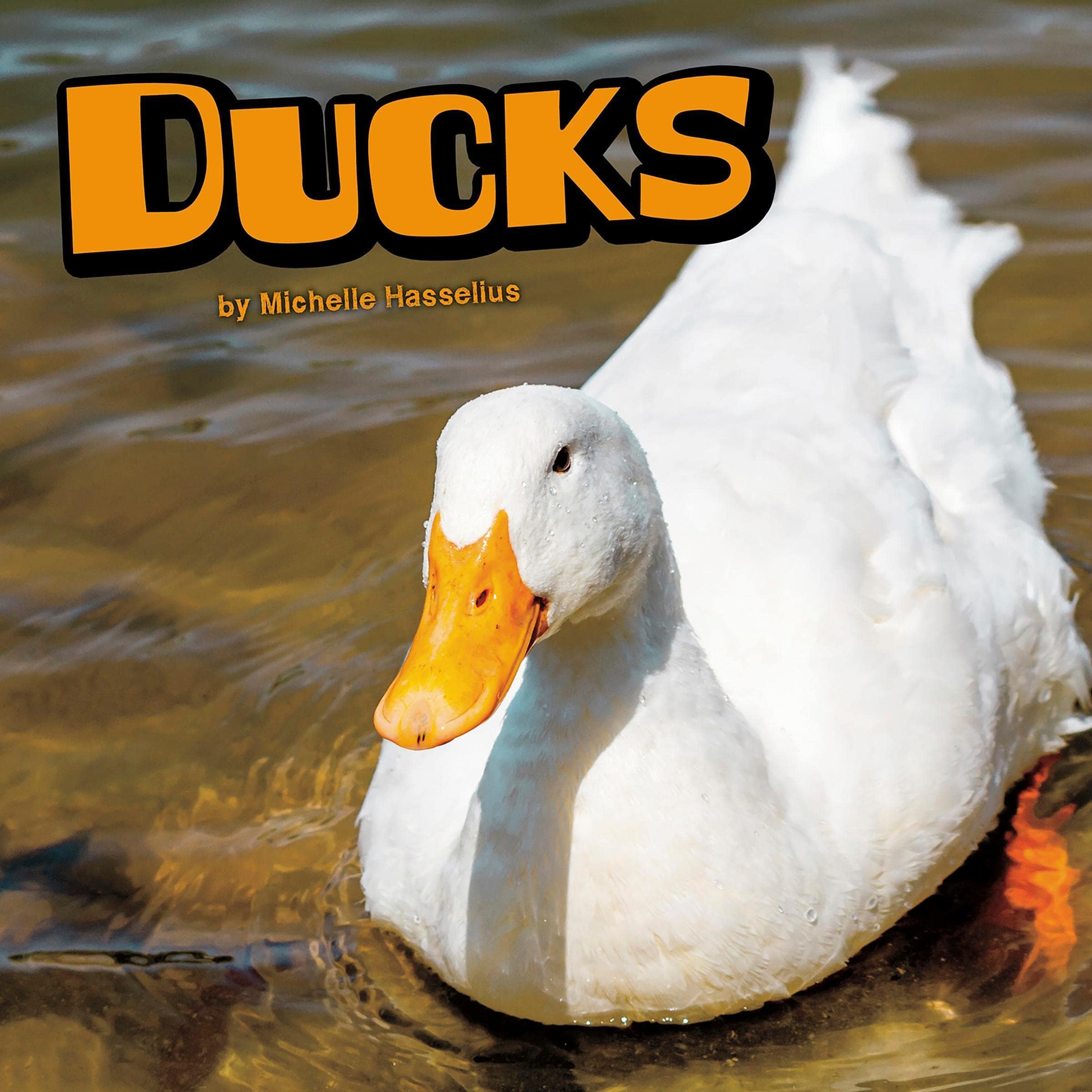 Ducks