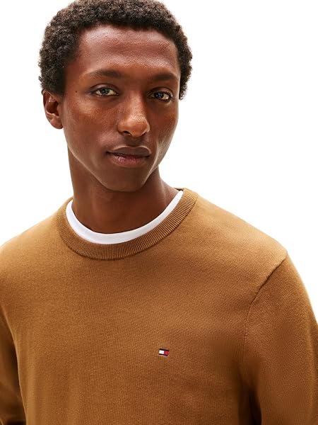 Visiter la boutique Tommy Hilfiger Tommy Hilfiger Essential Ssnl Cotton Crew Neck Mw0mw39999 Pull-Over Homme in use